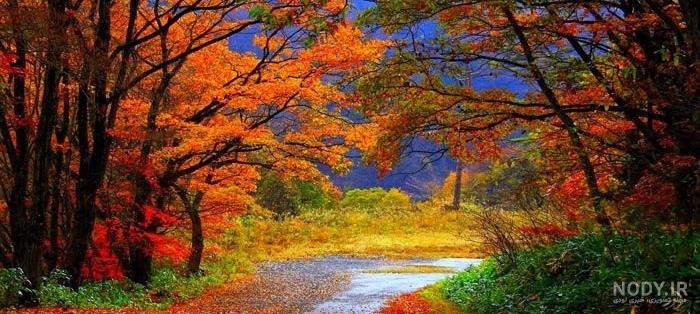 عکس پاییزی جدید برای پروفایل با متن و بدون متن بسیار خاص | سایت تفریحی و  سرگرمی نازشو