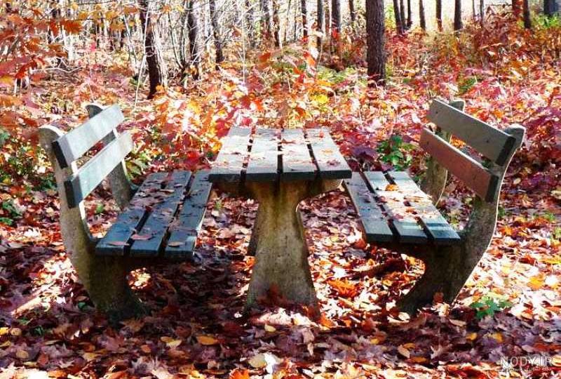 عکس های پاییزی دونفره برای پروفایل | عکس پروفایل عاشقانه پاییزی جدید عکس های پاییزی دونفره برای پروفایل | عکس پروفایل عاشقانه پاییزی جدید