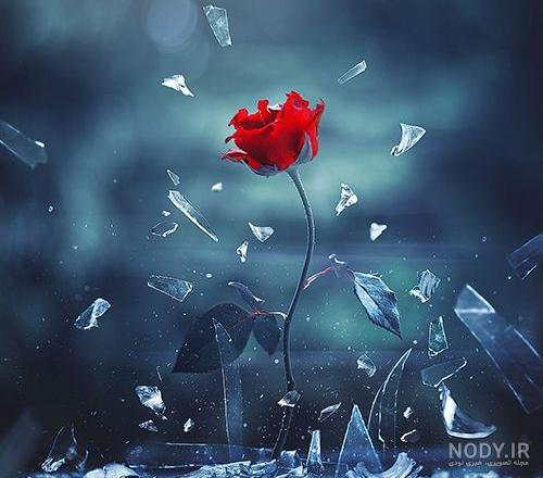 عکس پروفایل زیبا و مفهومی در مورد خدا