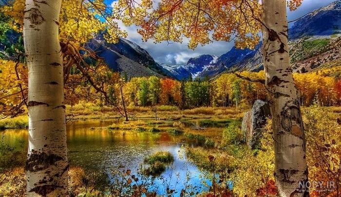 عکس پروفایل پاییزی جدید، خاص و دخترانه بدون متن برای اینستا