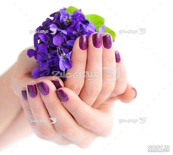 عکس پروفایل گل زیبا + تصاویر دسته گلهای زیبا و عاشقانه