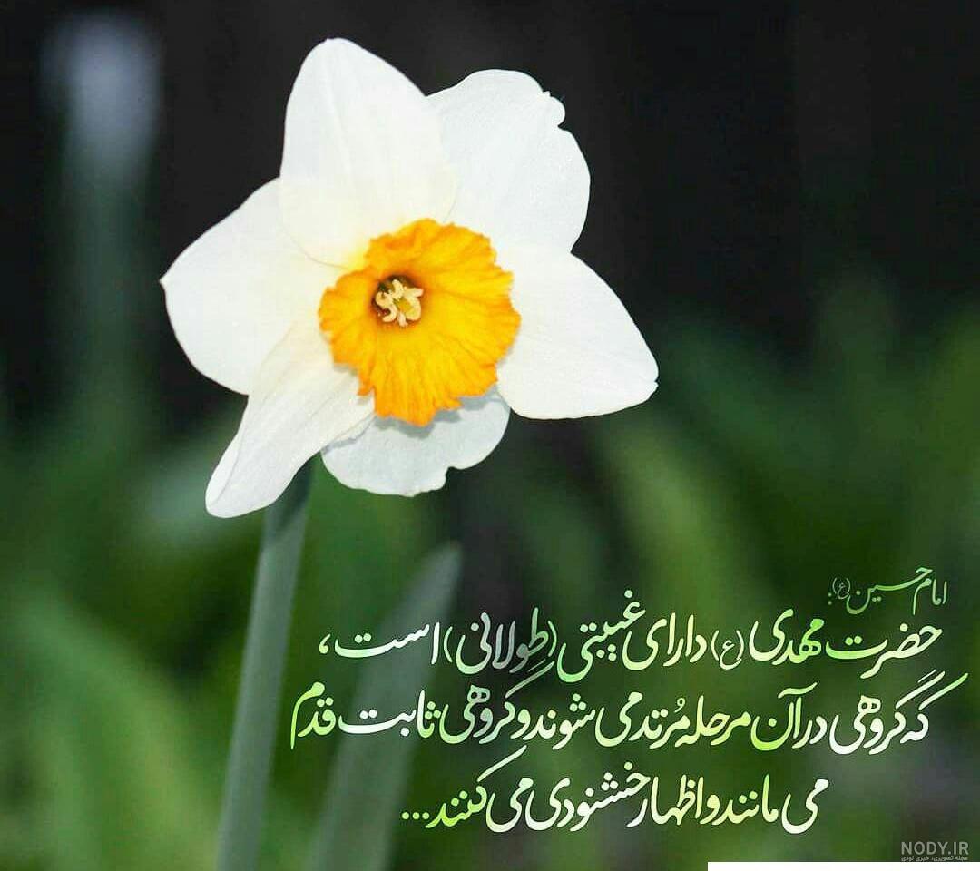عکس پروفایل گل نرگس با نوشته عکس پروفایل گل نرگس با نوشته
