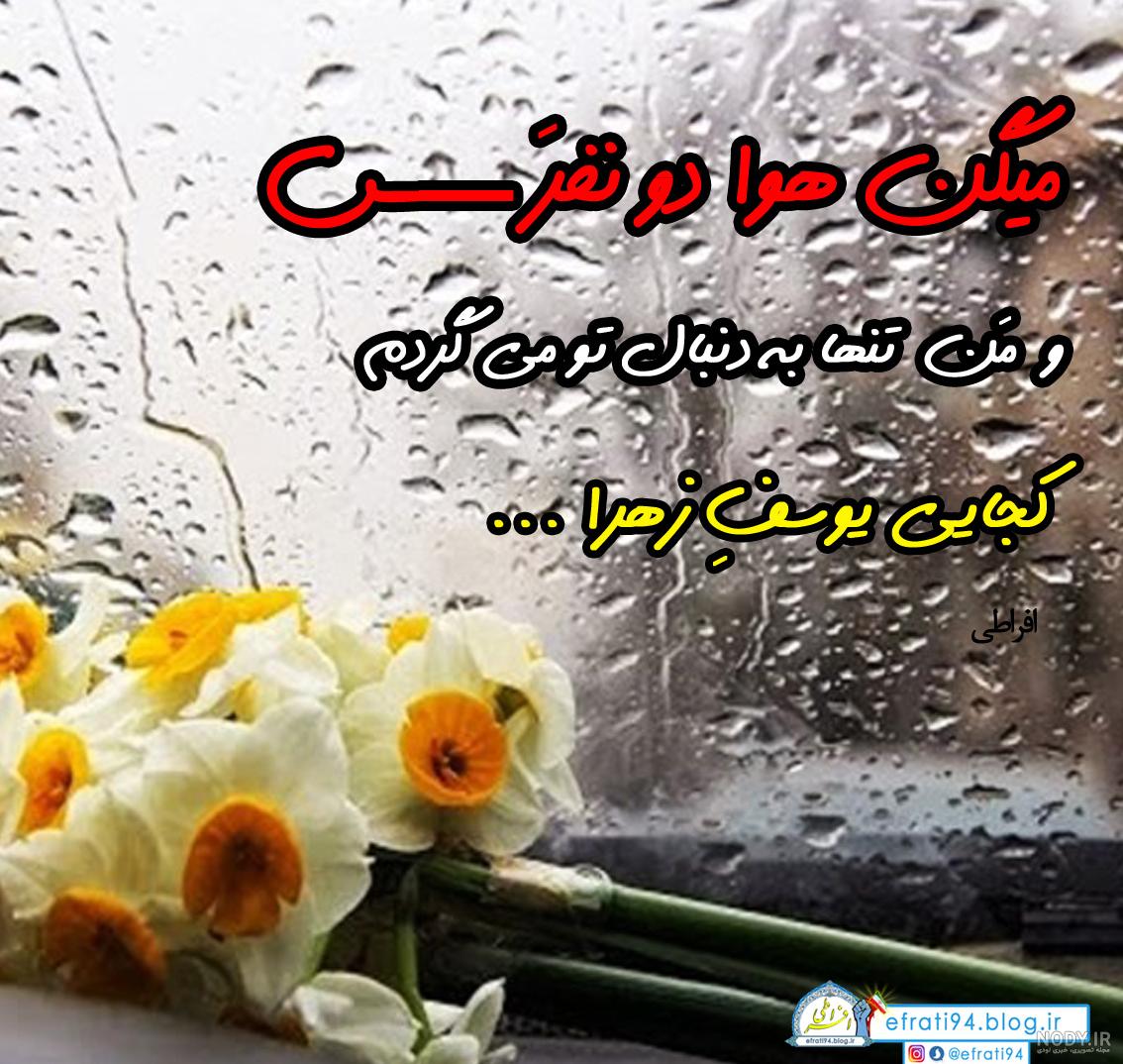 عکس گل نرگس برای پروفایل 2023 | عکس گل مریم | عکس گل برای پروفایل | عکس گل برای پروفایل واتساپ عکس گل نرگس برای پروفایل 2023 | عکس گل مریم | عکس گل برای پروفایل | عکس گل برای پروفایل واتساپ