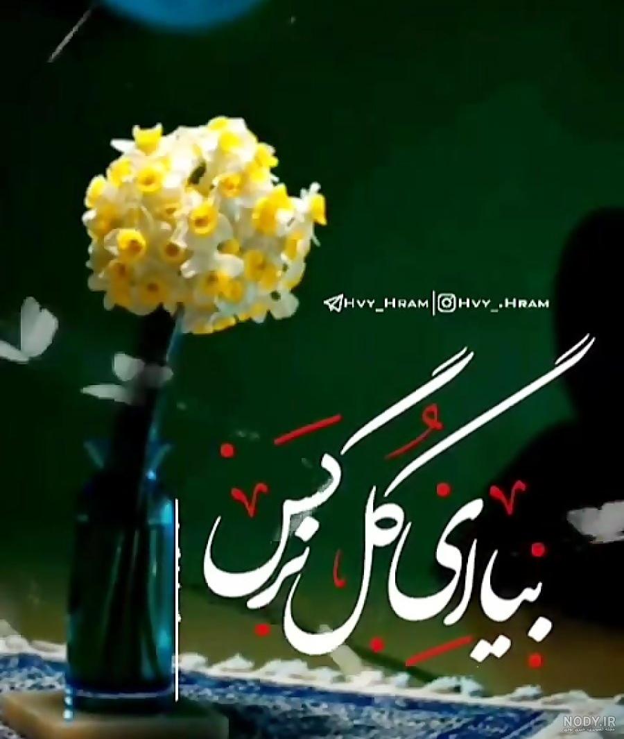 عکس گل نرگس زیبا برای پروفایل؛ بهترین تصاویر برای عاشقان | گلی شی عکس گل نرگس زیبا برای پروفایل؛ بهترین تصاویر برای عاشقان | گلی شی
