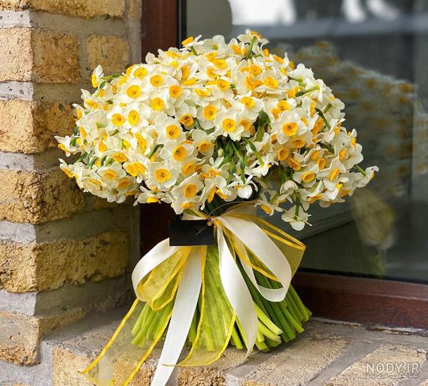عکس گل نرگس نوشته ❤️ [ بهترین تصاویر ]