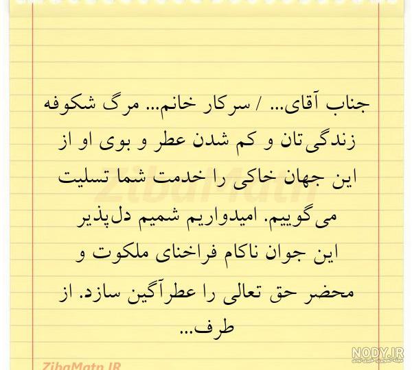 کلیپ داغ جوان | روضه داغ جوان | کلیپ استوری جوان اسمانی کلیپ داغ جوان | روضه داغ جوان | کلیپ استوری جوان اسمانی
