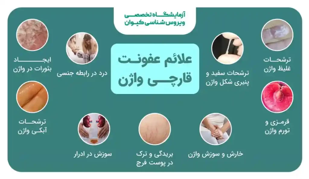 عکس دهانه واژن نرمال