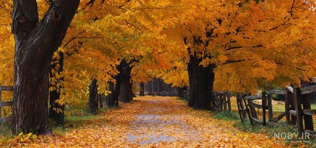 عکس خفن 48 پروفایل پاییزی عاشقانه