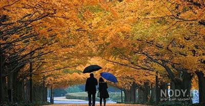 پروفایل پاییزی عاشقانه دونفره