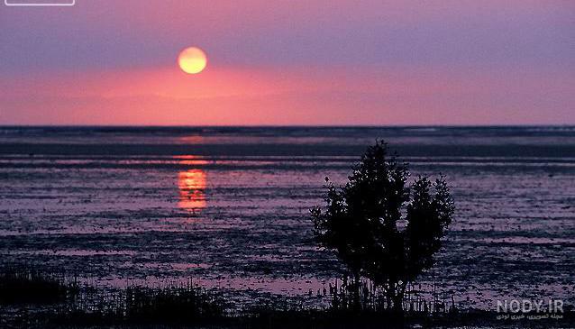 عکس غروب غم انگیز