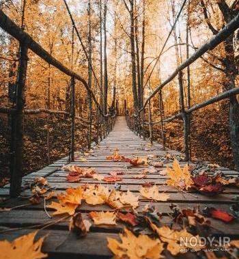 پروفایل پاییزی عاشقانه دونفره