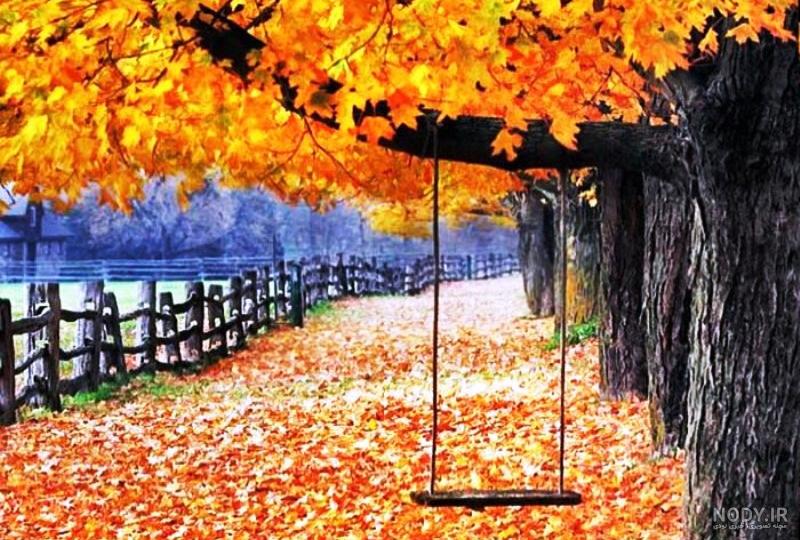Fall Photo Challenge - 30 Fall Photography Ideas to Give Your Instagram ... Fall Photo Challenge - 30 Fall Photography Ideas to Give Your Instagram ...