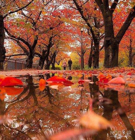 Pin on otoño | Fall photoshoot, Autumn photography, Fall pictures Pin on otoño | Fall photoshoot, Autumn photography, Fall pictures