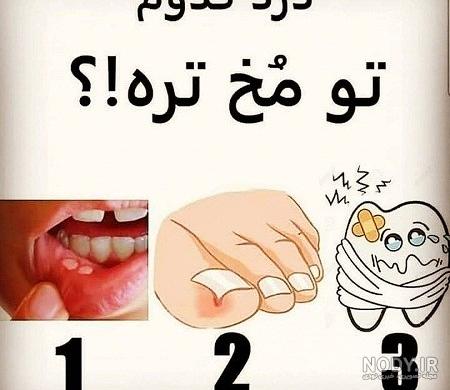 100 سوال خفن و جنجالی برای صندلی داغ [چالش برانگیز!]