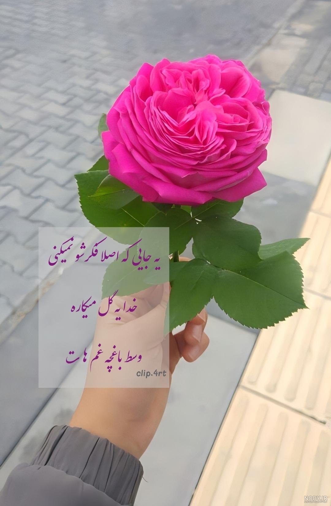 خبرگزاری آريا - عکس پروفايل با موضوع خدا