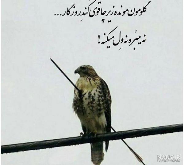 دانلود عکس های نوشته دار پر معنی جدید دانلود عکس های نوشته دار پر معنی جدید