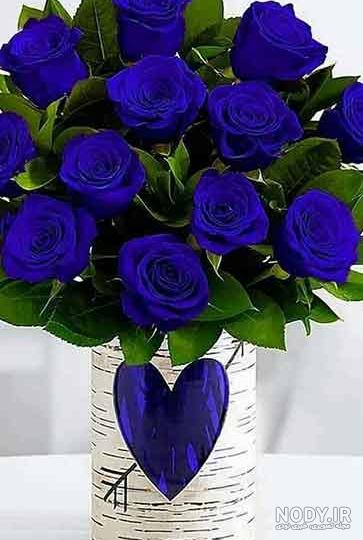 عکس های زیبا از گل رز آبی