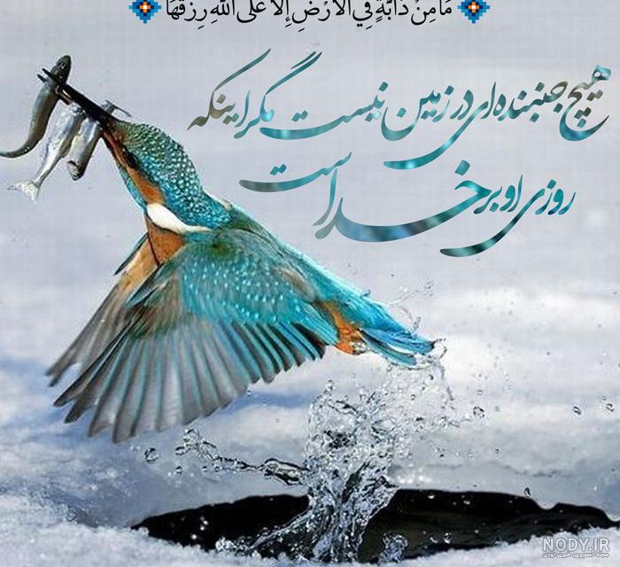 عکس قرآن و گل و فانوس برای پروفایل و استوری و تم گوشی با طرح جدید عکس قرآن و گل و فانوس برای پروفایل و استوری و تم گوشی با طرح جدید
