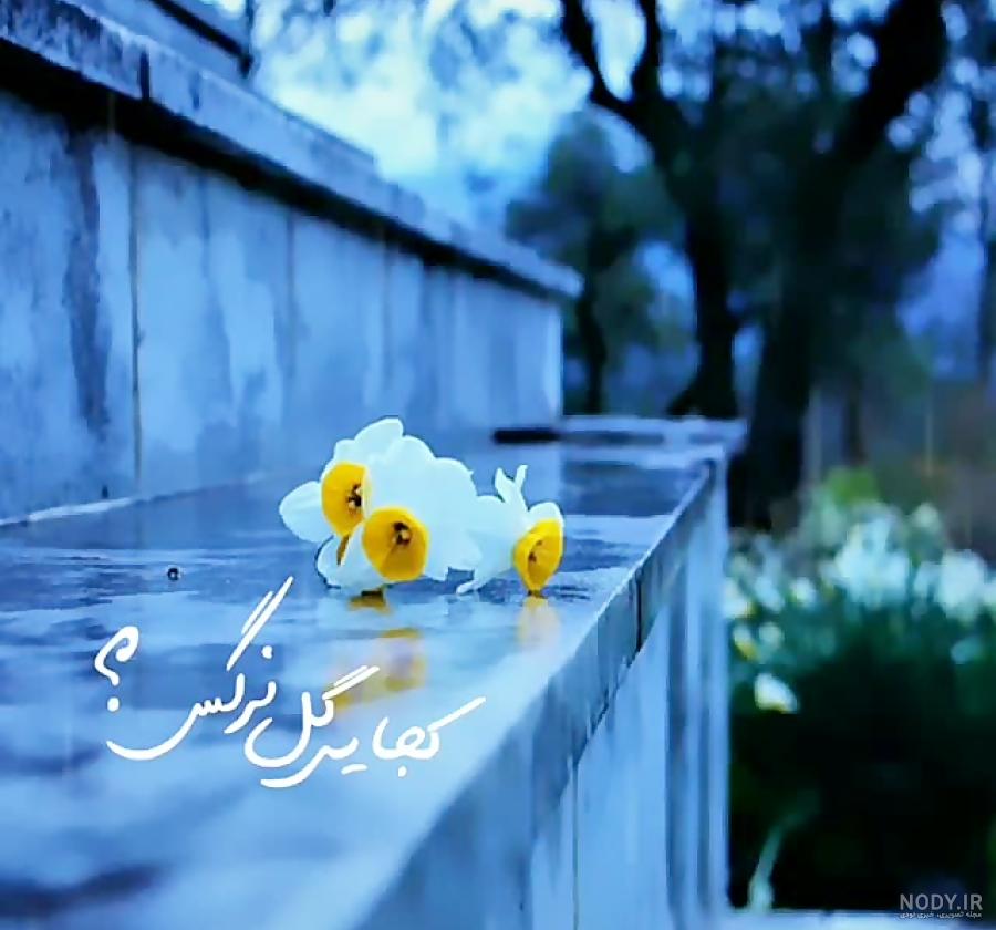 عکس نوشته در مورد گل نرگس