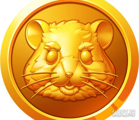 عکس همستر بامزه برای پروفایل - عکس نودی عکس همستر بامزه برای پروفایل - عکس نودی