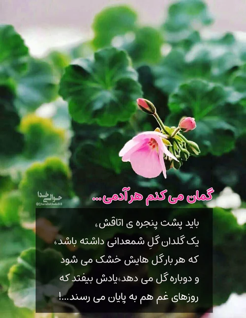 عکس پروفایل خدا :: حوالی خدا