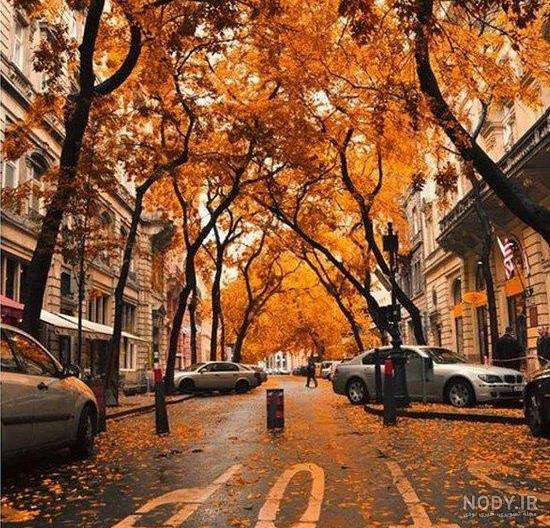 عکس پروفایل پاییز | عکس نوشته های زیبای پاییزی عکس پروفایل پاییز | عکس نوشته های زیبای پاییزی