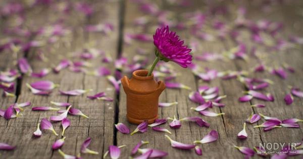 عکس گل برای پروفایل بسیار هنری و جدید فیک و طبیعی - گلی خانوم