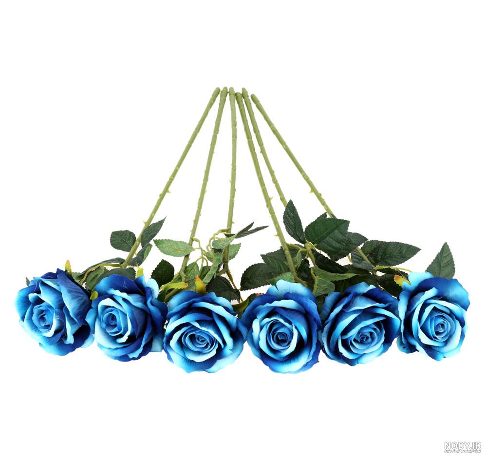 عکس های گل رز آبی