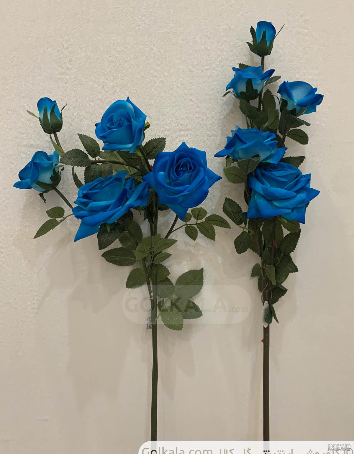 عکس گل رز آبی؛ ۳۳ عکس جذاب و زیبا برای پروفایل - ستاره