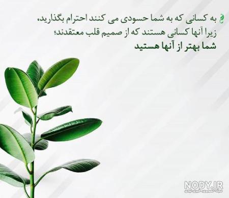 متن تیکه دار برای همسر و شوهر با عکس نوشته های و پیامک های سنگین