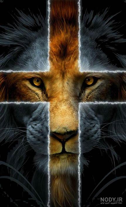مجموعه تصویر زمینه جذاب و با کیفیت شیر سلطان جنگل lion | فریپیکر