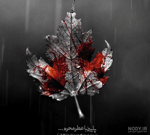 ژست عکس پاییزی دخترانه در طبیعت مناسب پروفایل + تصاویر ژست عکس پاییزی دخترانه در طبیعت مناسب پروفایل + تصاویر