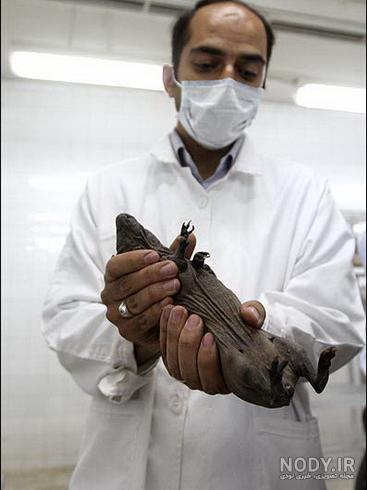 عکس سرم دست دختر