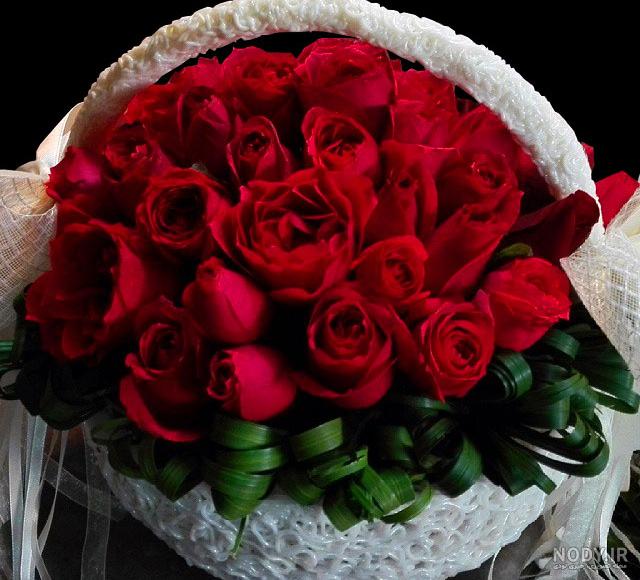 100 عکس گل های زیبا و قشنگ برای پروفایل | عکس پروفایل گل رز 100 عکس گل های زیبا و قشنگ برای پروفایل | عکس پروفایل گل رز