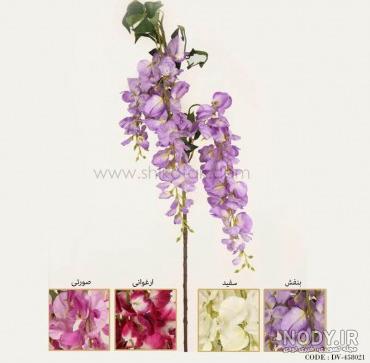 آشنایی با درخت اقاقیا و نحوه نگهداری آن