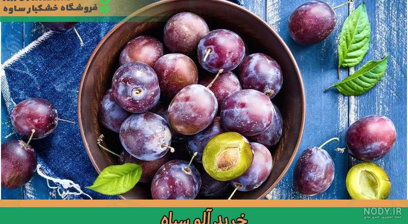 انواع آلو و خواص آنها این میوه تک هسته ای ترش و خوراکی قابل درست کردن | از زبان سروبان انواع آلو و خواص آنها این میوه تک هسته ای ترش و خوراکی قابل درست کردن | از زبان سروبان