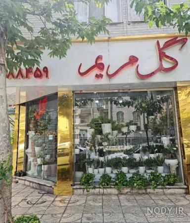 باکس چوبی لاکچری گل مریم و رز | گل مریم و رز در باکس | گلفروشی انلاین سرای گل باکس چوبی لاکچری گل مریم و رز | گل مریم و رز در باکس | گلفروشی انلاین سرای گل