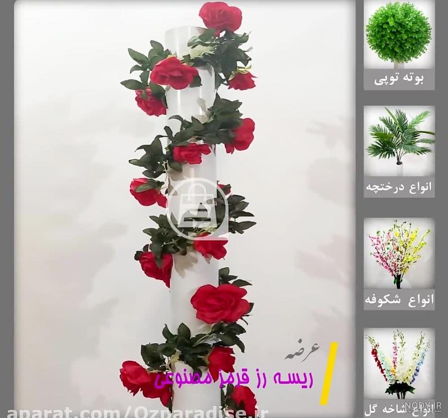 بذر پیچک نیلوفر بنفش 10 عدد - خانه بذر | فروشگاه بذر وارداتی گل و گیاه  زینتی 1403