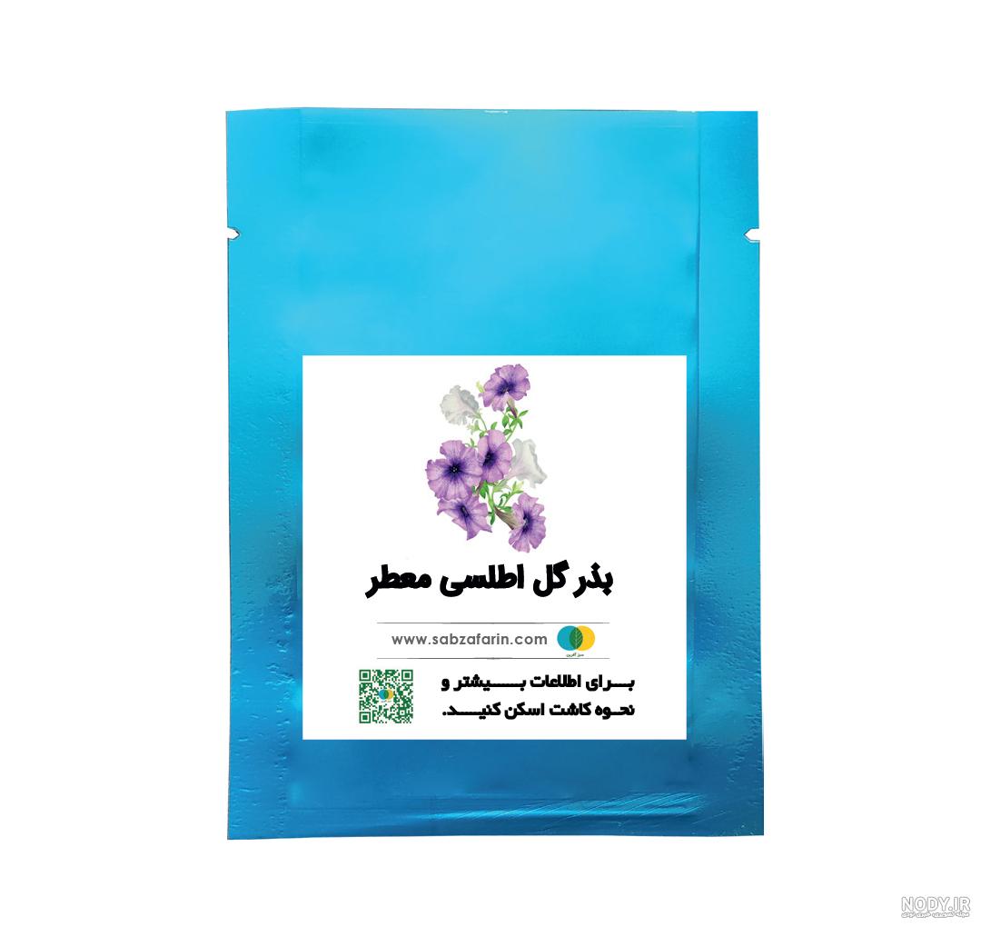 بذر گل اطلسی با بسته بندی خانگی بذر گل اطلسی با بسته بندی خانگی