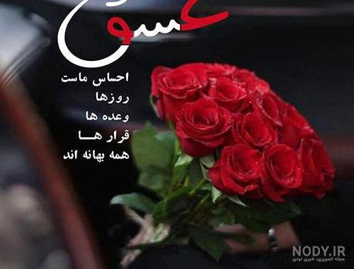 بهترین گل و گیاهان برای هدیه به همسر، دوست و عزیزانتان بهترین گل و گیاهان برای هدیه به همسر، دوست و عزیزانتان
