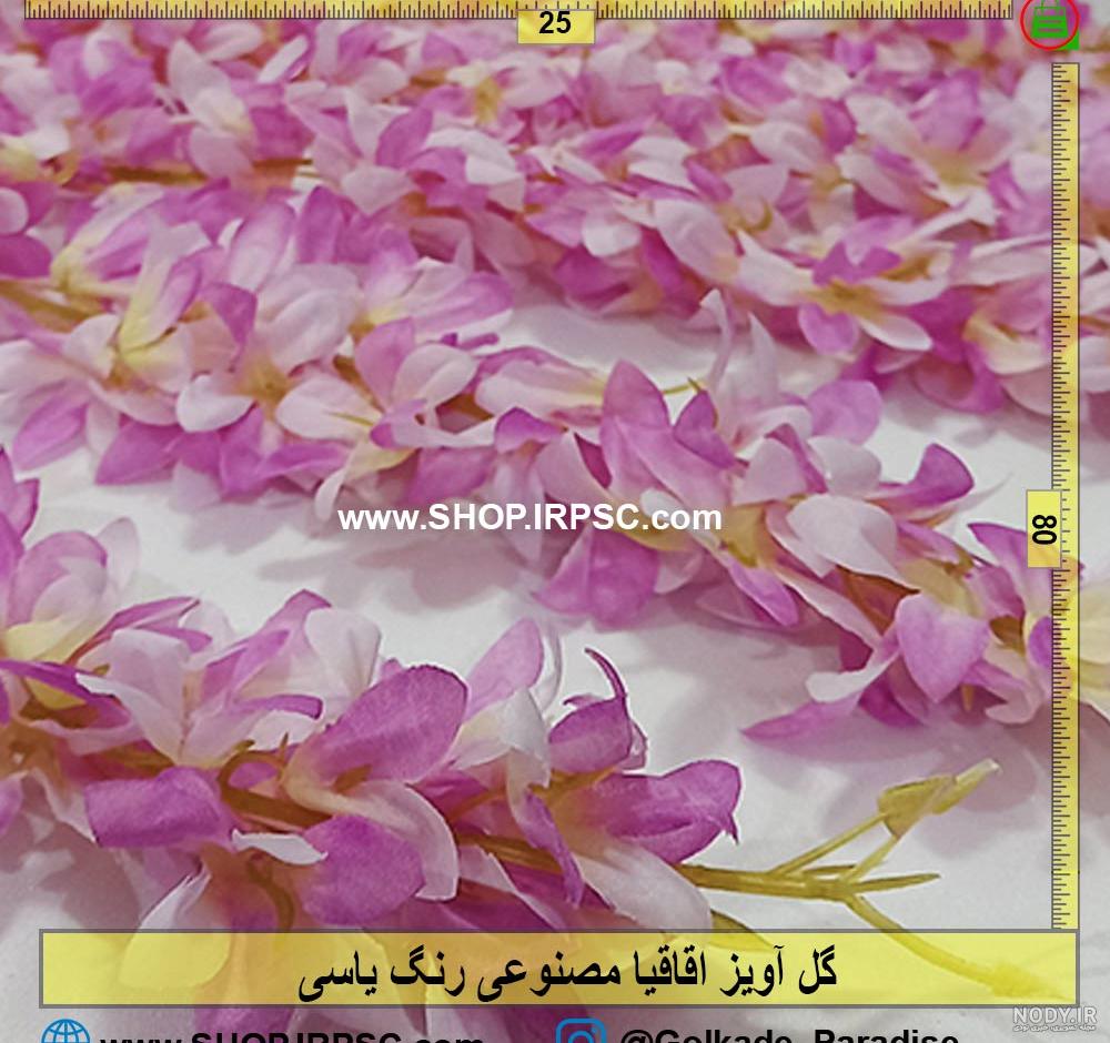 تصاویری از کوچه‌های اقاقیا در پایتخت