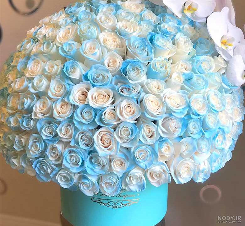 خرید آنلاین شاخه گل رز هلندی آبی کد7044 | سولین بازار خرید آنلاین شاخه گل رز هلندی آبی کد7044 | سولین بازار