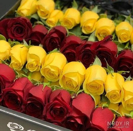 دانلود عکس گل تولدت مبارک دانلود عکس گل تولدت مبارک