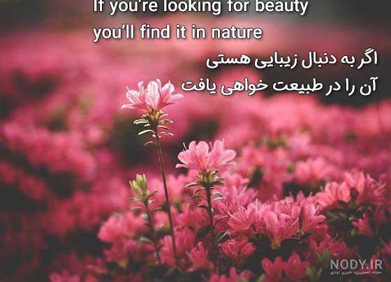 سخن بزرگان درباره طبیعت - تبریکده سخن بزرگان درباره طبیعت - تبریکده