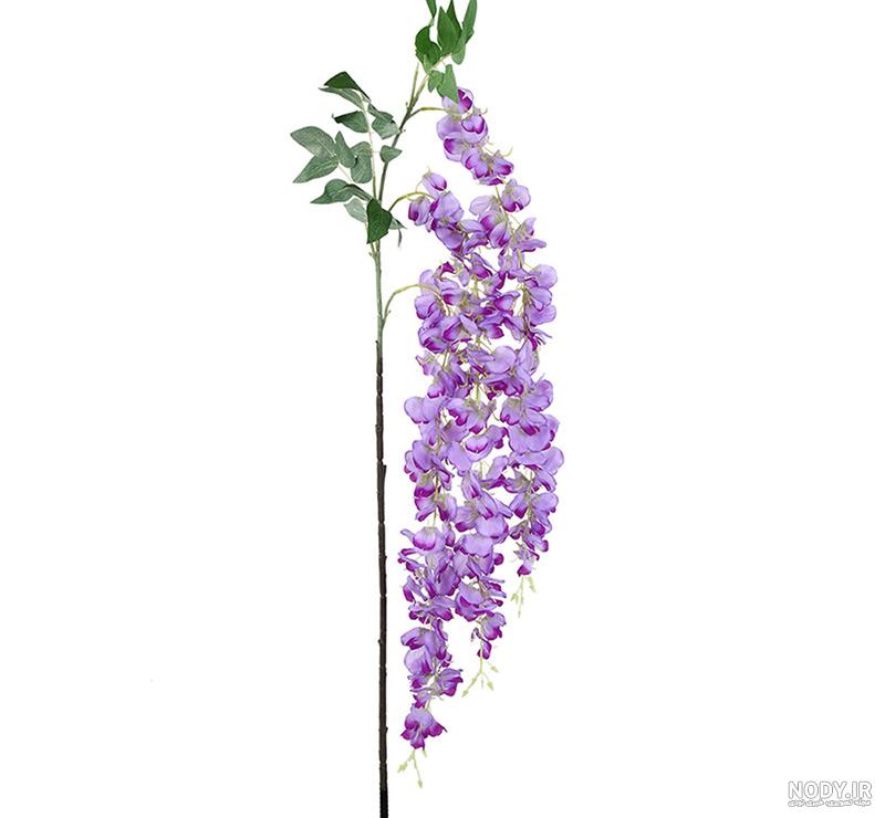 سفارش قیمت خرید گل گل اقاقیا + معرفی و توضیحات کلی گل اقاقیا | گل فروشی  شادیچی