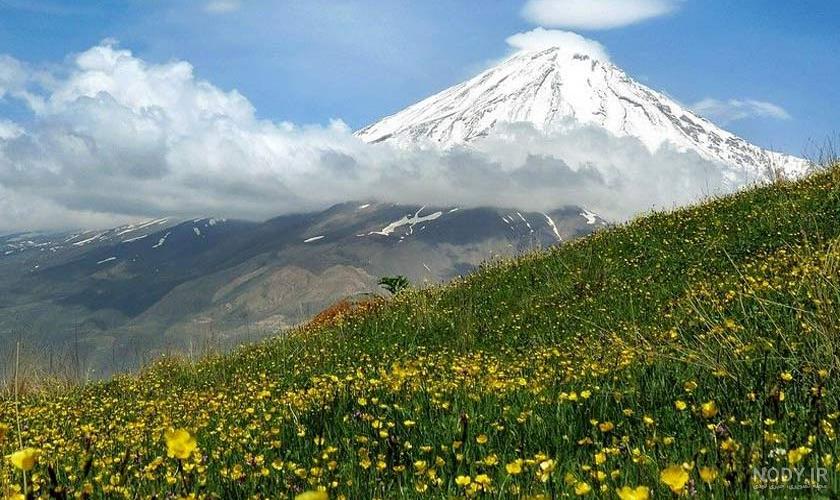 طبیعت منظره گل آسمان کوه - ایران طرح طبیعت منظره گل آسمان کوه - ایران طرح
