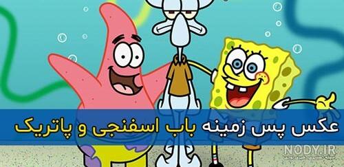 عکس های اختاپوس / بهترین تصاویر اختاپوس [پیشنهادی] | تاوعکس