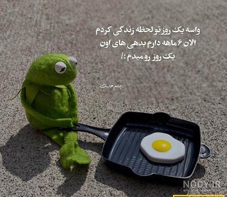 عکس های خنده دار و بامزه ایرانی و خارجی