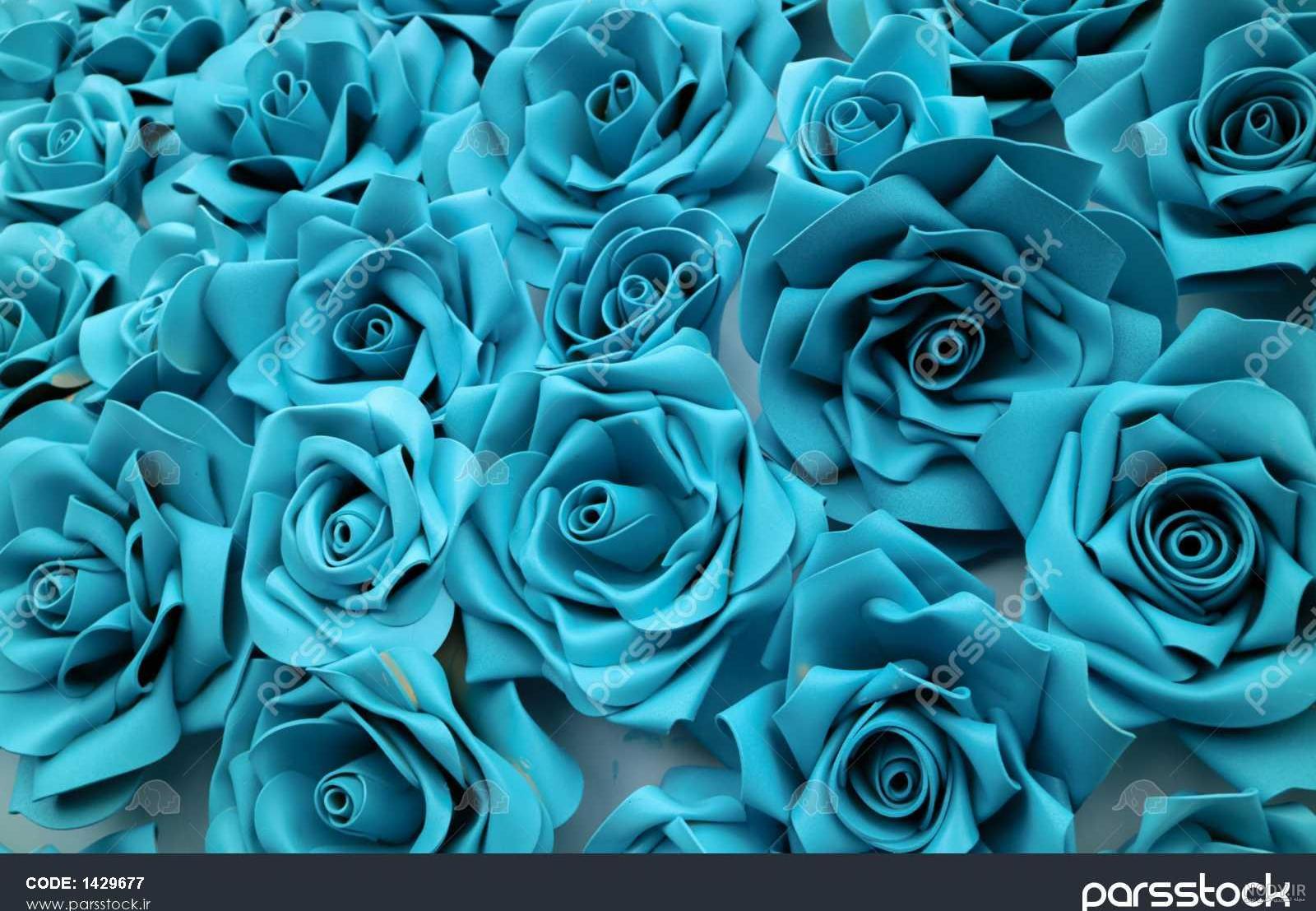 عکس دسته گل رز ابی و سفید