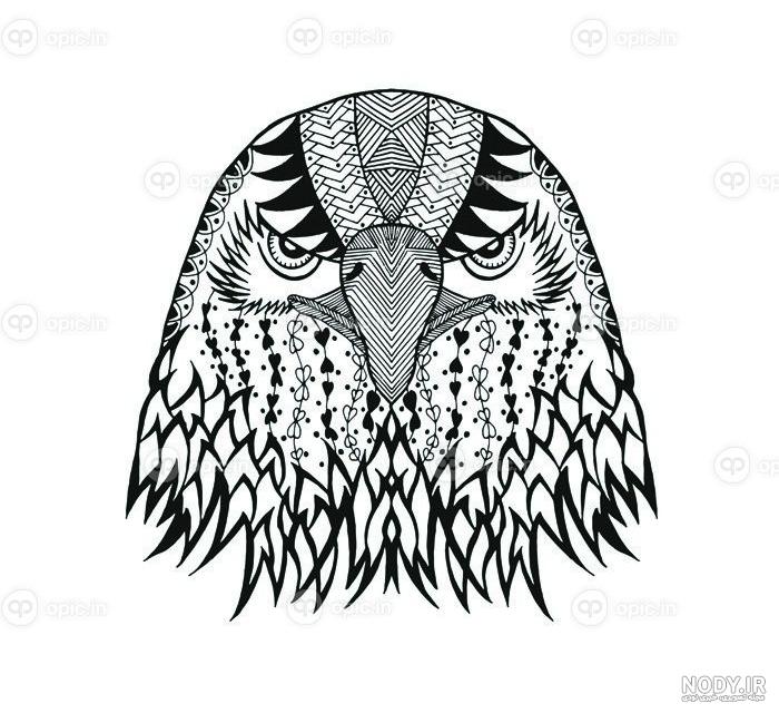 عکس سیاه سفید حیوانات - عکس نودی
